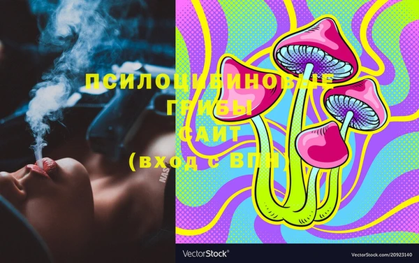 ECSTASY Заводоуковск