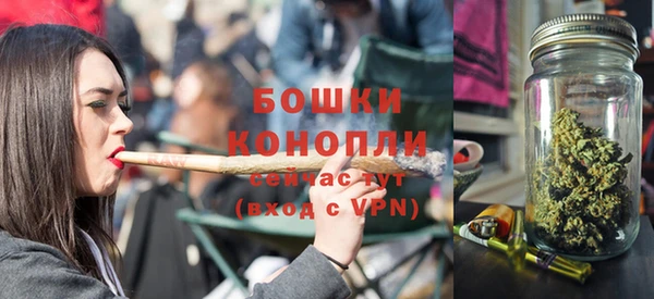 крисы Бронницы