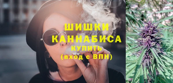крисы Бронницы