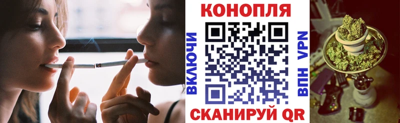 Бошки Шишки сатива Вельск